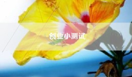 创业小测试