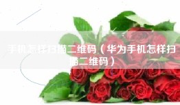 手机怎样扫描二维码（华为手机怎样扫描二维码）