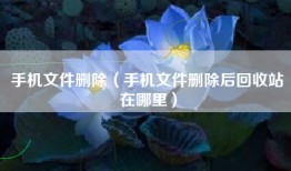 手机文件删除（手机文件删除后回收站在哪里）