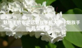 魅族手机专卖店魅族手机大全「魅族手机专卖店」