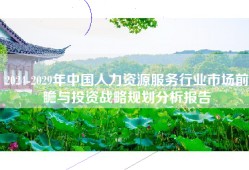 2024-2029年中国人力资源服务行业市场前瞻与投资战略规划分析报告
