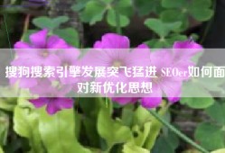 搜狗搜索引擎发展突飞猛进 SEOer如何面对新优化思想