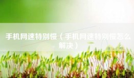手机网速特别慢（手机网速特别慢怎么解决）