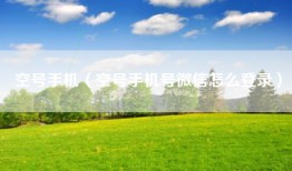 空号手机（空号手机号微信怎么登录）