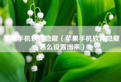 苹果手机软件隐藏（苹果手机软件隐藏怎么设置出来）