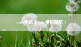 mate手机（mate手机壁纸）