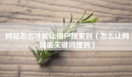 网站怎么才能让用户搜索到（怎么让网站能关键词搜到）