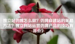 独立站仿牌怎么做？仿牌自建站的策略方法？独立网站运营仿牌产品的技巧有哪些？