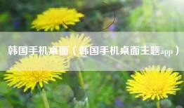 韩国手机桌面（韩国手机桌面主题app）