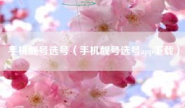 手机靓号选号（手机靓号选号app下载）