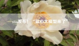 vivo发布！“蓝心大模型来了”