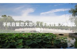 手机音量忽大忽小（手机音量大小怎么调）