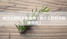 有什么好的手机推荐（有什么好的手机推荐吗）