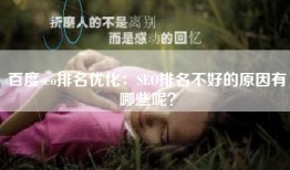 百度seo排名优化：SEO排名不好的原因有哪些呢？