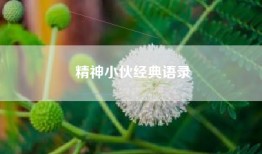 精神小伙经典语录