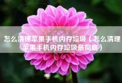 怎么清理苹果手机内存垃圾（怎么清理苹果手机内存垃圾最彻底）