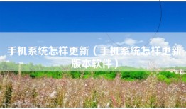 手机系统怎样更新（手机系统怎样更新版本软件）