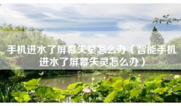 手机进水了屏幕失灵怎么办（智能手机进水了屏幕失灵怎么办）
