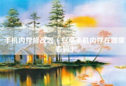 手机内存修改器（安卓手机内存在哪里看到）