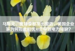 马斯克、奥特曼都发出警告，美国企业家为何如此担忧AI会导致电力短缺？