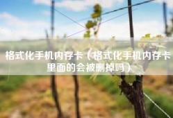 格式化手机内存卡（格式化手机内存卡里面的会被删掉吗）