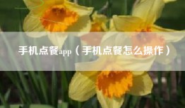 手机点餐app（手机点餐怎么操作）