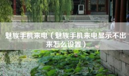 魅族手机来电（魅族手机来电显示不出来怎么设置）