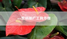 seo营销推广工具外推