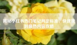 揭秘小红书热门笔记判定标准，快速找到最热内容攻略