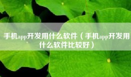 手机app开发用什么软件（手机app开发用什么软件比较好）
