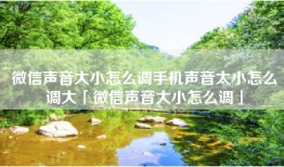 微信声音大小怎么调手机声音太小怎么调大「微信声音大小怎么调」