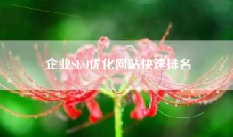企业SEO优化网站快速排名