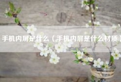 手机内屏是什么（手机内屏是什么材质）