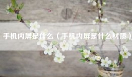 手机内屏是什么（手机内屏是什么材质）