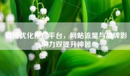 百度优化推广平台，网站流量与品牌影响力双提升神器