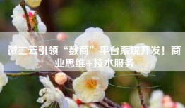微三云引领“数商”平台系统开发！商业思维+技术服务
