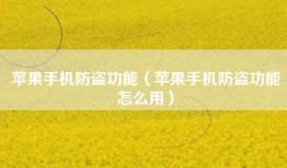 苹果手机防盗功能（苹果手机防盗功能怎么用）