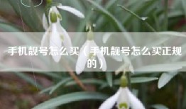 手机靓号怎么买（手机靓号怎么买正规的）