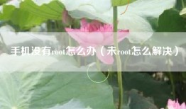 手机没有root怎么办（未root怎么解决）