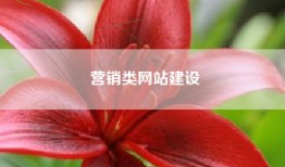 营销类网站建设