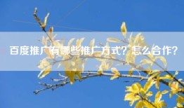 百度推广有哪些推广方式？怎么合作？