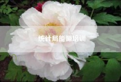 统计局能源培训