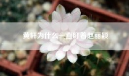 黄轩为什么一直盯着赵丽颖
