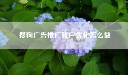 搜狗广告推广账户优化怎么做