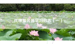 代理服务器学习日志（一）