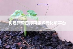 构建新型国际商事多元化解平台