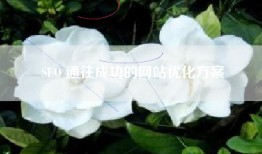 SEO 通往成功的网站优化方案