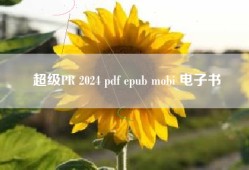 超级PR 2024 pdf epub mobi 电子书