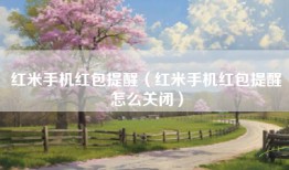 红米手机红包提醒（红米手机红包提醒怎么关闭）