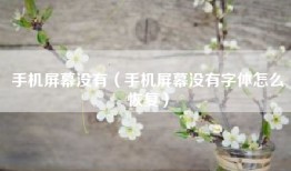 手机屏幕没有（手机屏幕没有字体怎么恢复）